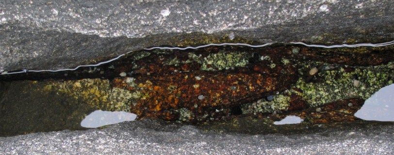 ???????????????????????????????