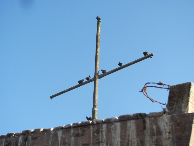 ???????????????????????????????