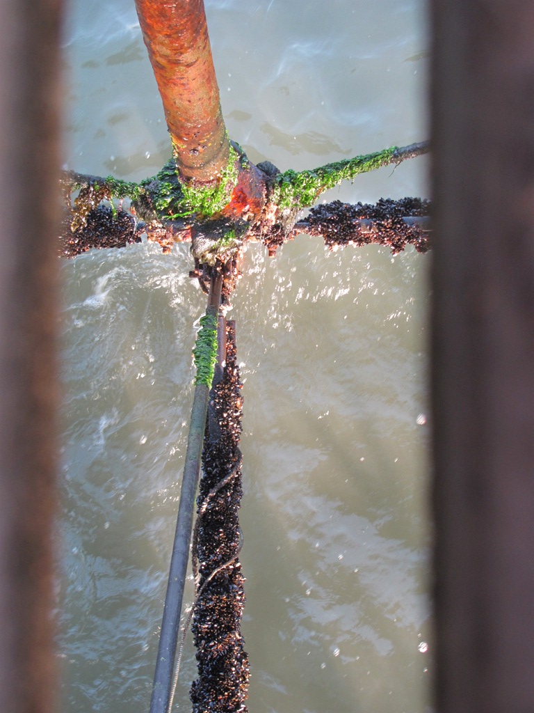 ???????????????????????????????