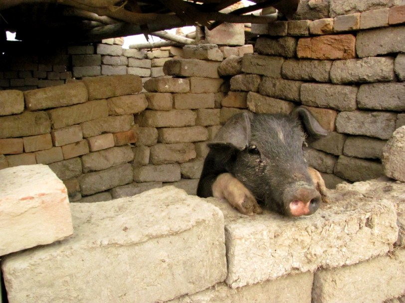 ???????????????????????????????