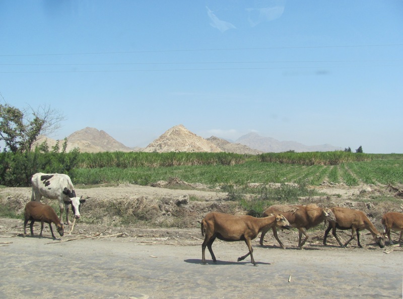 ???????????????????????????????