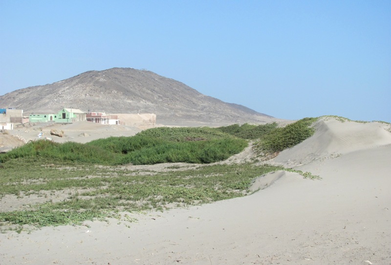 ???????????????????????????????