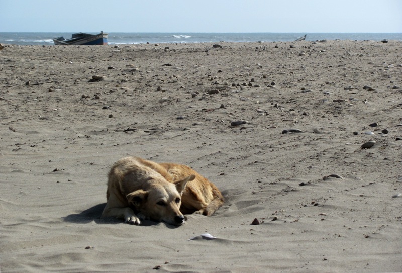 ???????????????????????????????