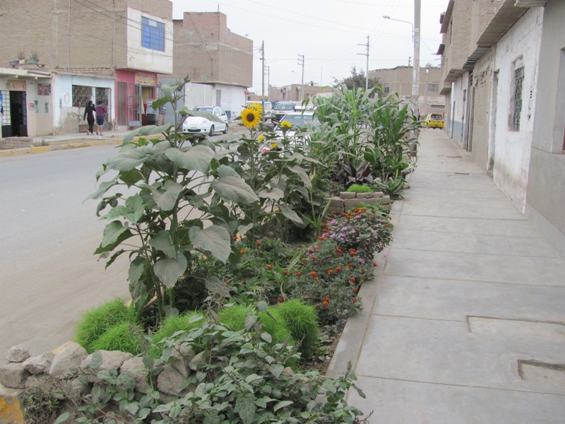 ???????????????????????????????