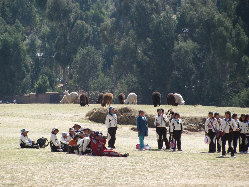 ???????????????????????????????