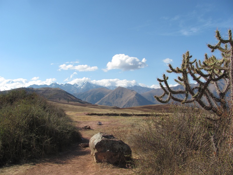 ???????????????????????????????