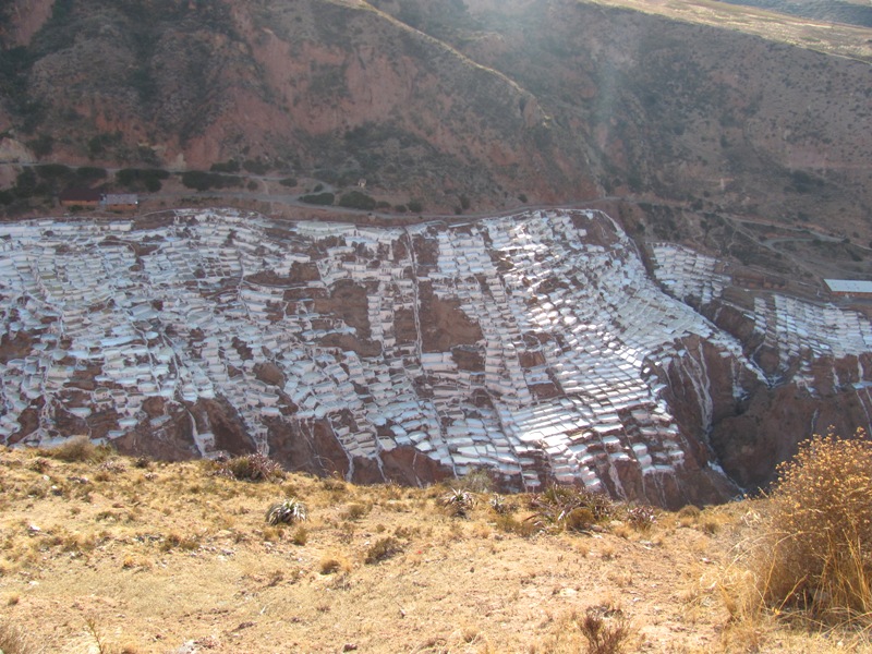 ???????????????????????????????