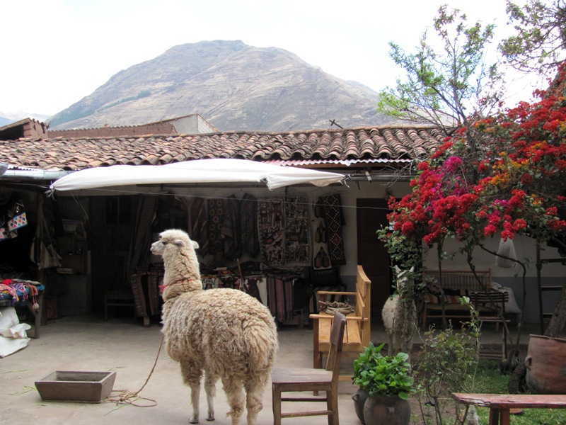 ???????????????????????????????