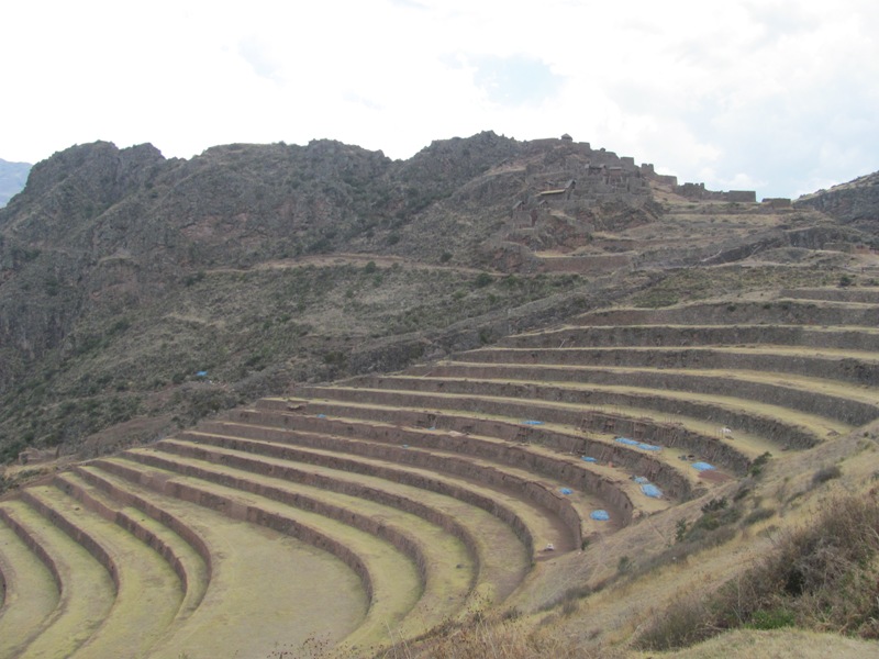 ???????????????????????????????