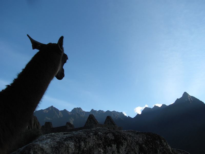 ???????????????????????????????