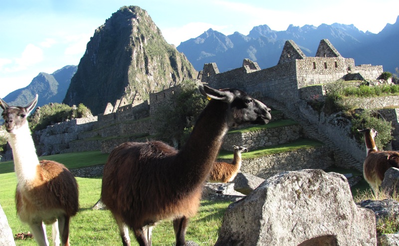 ???????????????????????????????