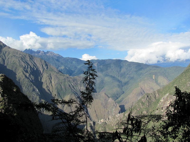 ???????????????????????????????