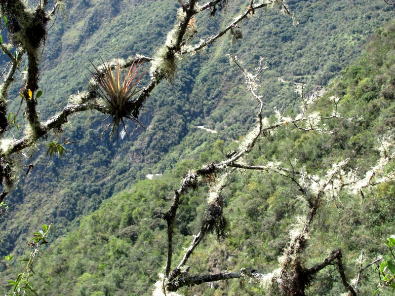 ???????????????????????????????