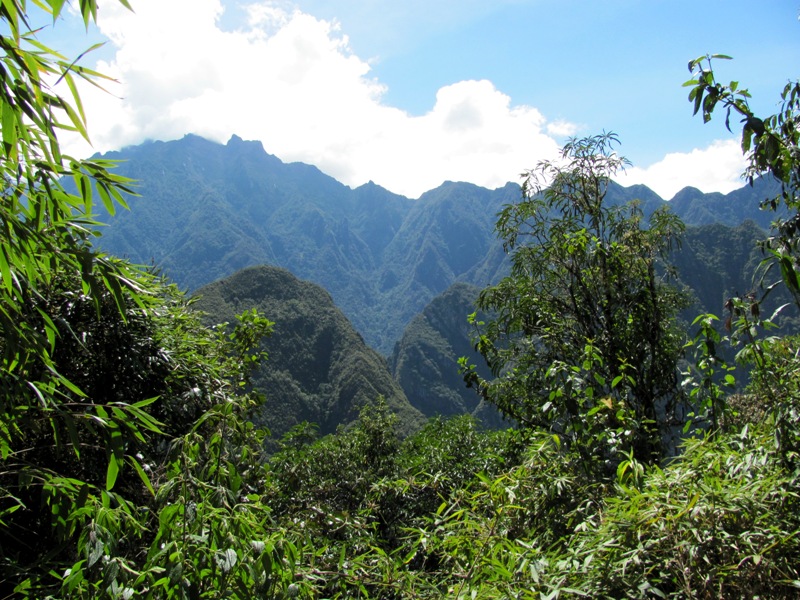 ???????????????????????????????