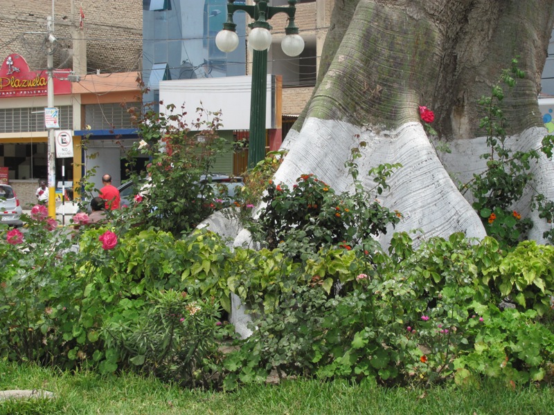 ???????????????????????????????