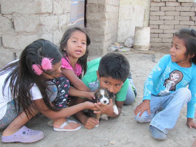 ???????????????????????????????