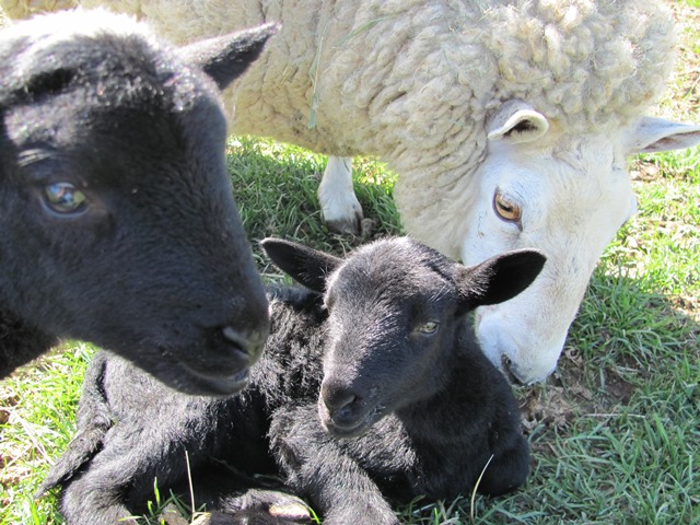 ???????????????????????????????