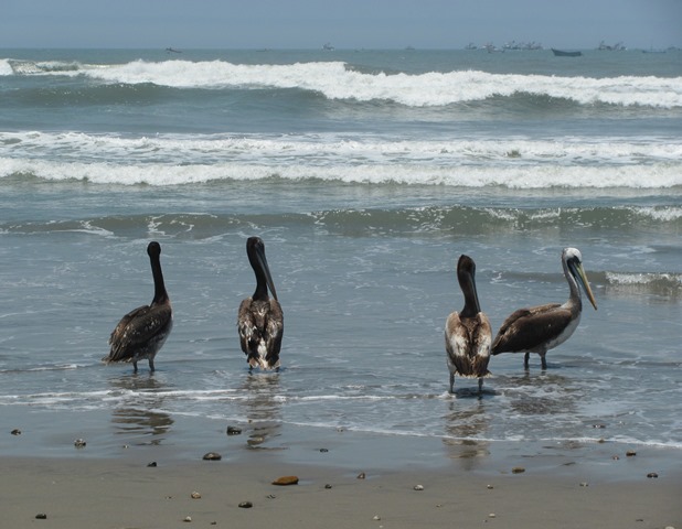 ???????????????????????????????