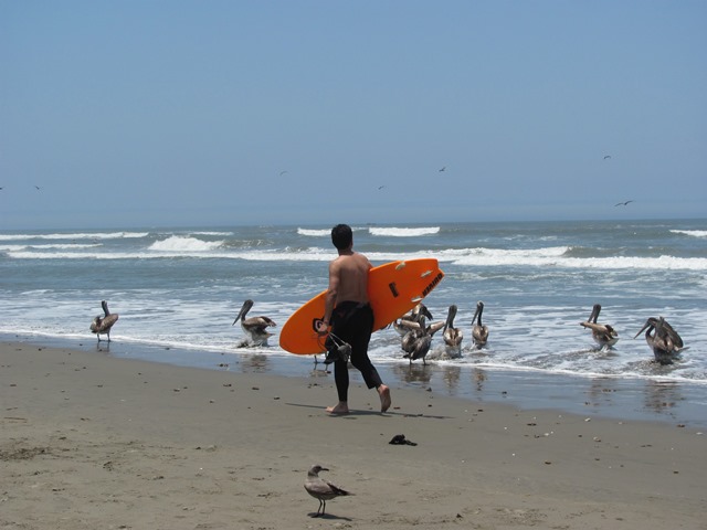 ???????????????????????????????