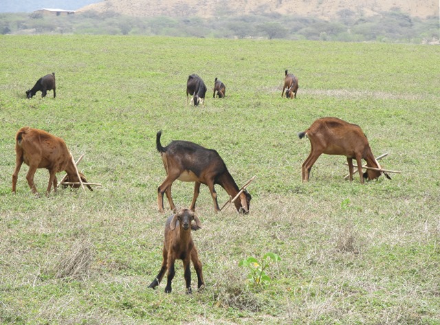 ???????????????????????????????