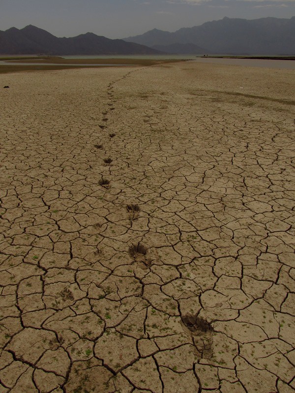 ???????????????????????????????