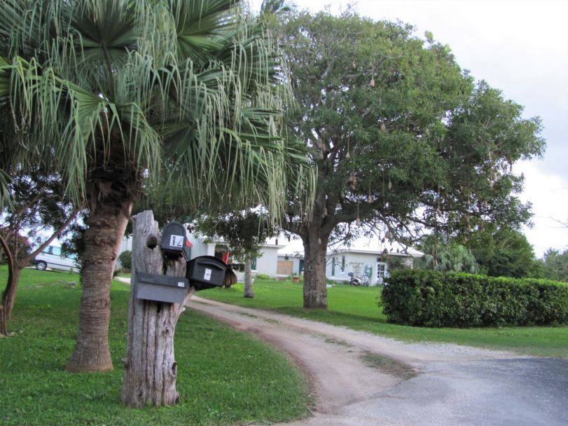 IMG_1303 (2) (small)